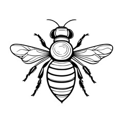 Vector illustration of a bee on a white background