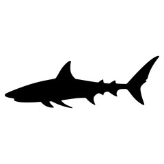 Vector illustration of a silhouette of a predatory shark on a white backdrop