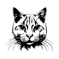 Vector illustration of a black and white domestic cat