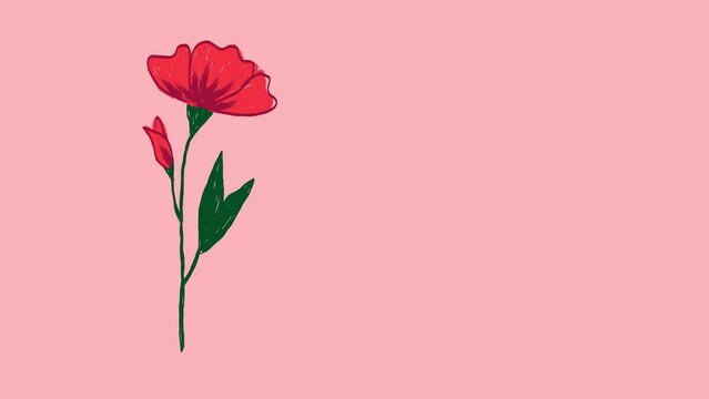 Simple line drawing of a red flower on pink background, clipart with copy space area for text