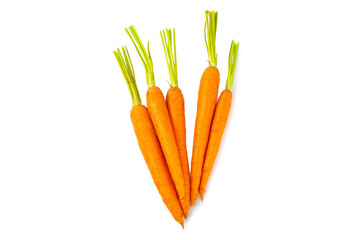 Carrot isolated on white background. Fresh and sweet organic carrots on a white background. Carrot slices. Vegan.