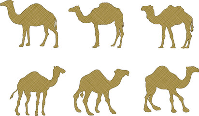 vector illustration sketch vector design desert animal camel running