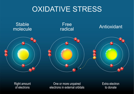 Free Radicals Images – Browse 41,006 Stock Photos, Vectors, and Free Radicals Images – Browse 41,006 Stock Photos, Vectors, and