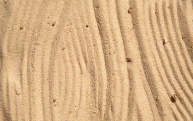 Sand on the beach texture close up