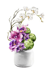 Orchid flower watercolor