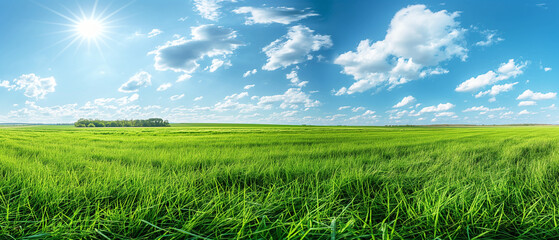 Expansive lush green field under a clear blue sky with fluffy clouds. Generative AI	