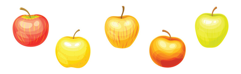 Ripe Sweet Apple Fruit of Bright Color Vector Set