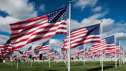 American flags veterans of Memorial day display celebrating national holiday. Concept of Independence day, Memorial day, national holiday