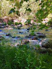 River in nature