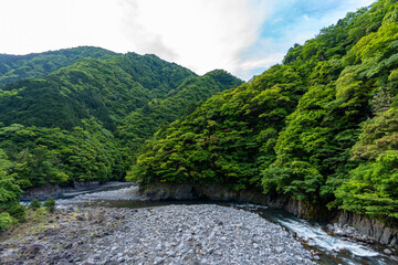 山間に流れる川