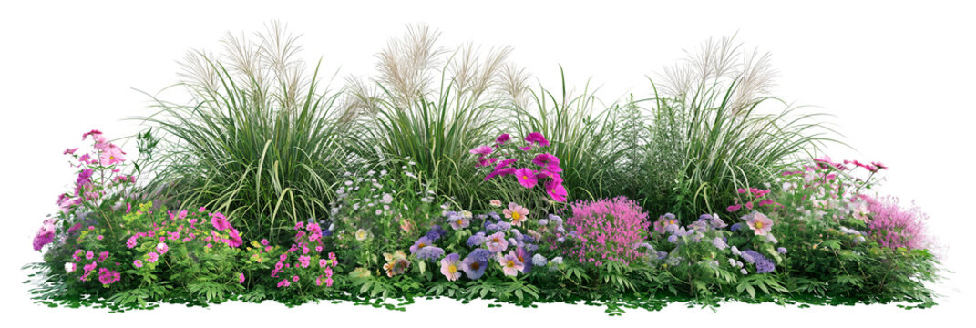 Fototapeta Flower Bed With Flowers And Grass. Isolated Front View. Landscape Design Template. Ai Generative