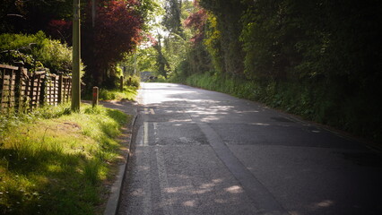 Obraz premium Woodland and road photography