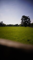 Countryside, Woodland, Nature, Landscape, Rural, Forest, Trees, Scenic, Serene, Tranquil, Greenery, Foliage, Meadows, Fields, Tranquility, Countryside scenery, Natural beauty, Outdoor, Peaceful, Wilde