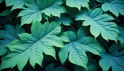 Green Leaves backdrop. Natural green plants as springtime backdrop representing the nature and a relaxing calm.