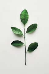 Fototapeta premium Zero Waste Concept