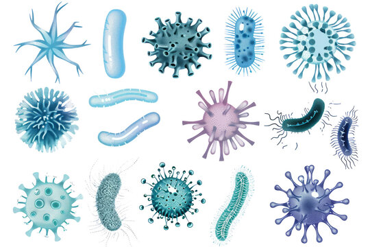 set of microbe and virus icons with a focus on common bacteria like E. coli and Staphylococcus aureus.