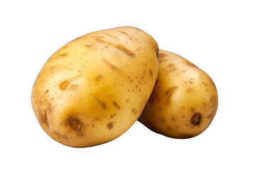 Two russet potatoes isolated on black background