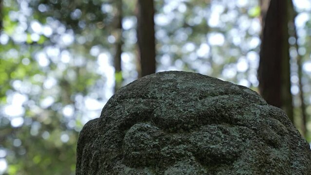 saruishi, Monkey Stone, Mysterious remains, Mystery, placed in the mountains of Nara, Japan since ancient times.
