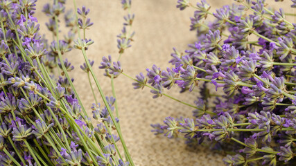Bouquets of fragrant lavender on a large knitted tablecloth