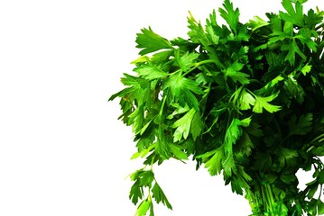 Fresh parsley from the garden in the kitchen