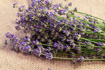 A bouquet of fragrant lavender on a large knitted tablecloth