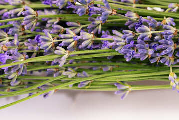A bunch of freshly picked lavender horizontally close up.