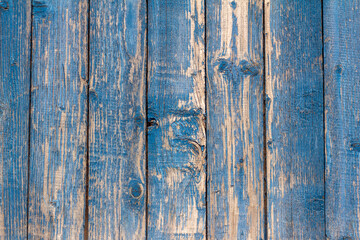 blue wooden background, old wooden wall with remnants of turquoise paint.