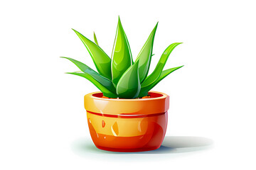aloevera plant pot isolated on abstract white background