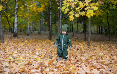 Fototapeta premium a boy in an autumn green overalls and a green hat stands in autumn golden leaves, an autumn day in golden leaves, a walk with a child in autumn
