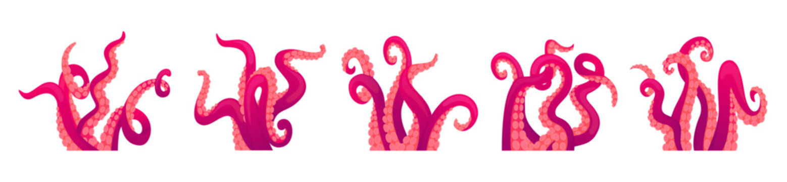Cartoon tentacles. Octopus tentacle compositions. Sea squid body parts, isolated elements reaching upwards. Seafood marine neoteric vector set