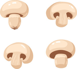  champignon mushrooms whole and sliced