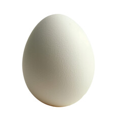 White chicken egg isolated on white, transparent background PNG