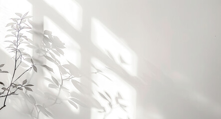 Abstract shadow on white background,