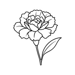 A Line Art of a Carnation
