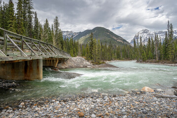 Old wooden bridge at the confluence of the Kicking Horse and Amiskwi Rivers in Yoho National Park,...