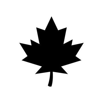 recommend clip art: Maple leaf Silhouette Vector Art isolated on white background