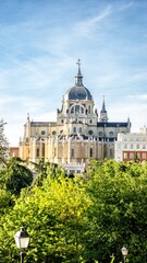 Obraz premium Almudena Cathedral of Madrid, neoclassical style seen on a spring day among the trees of the Vistillas Garden