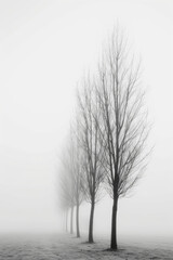 A minimalist landscape photograph capturing the layered patterns of trees receding into the distance on a foggy morning, with their soft silhouettes and muted tones.