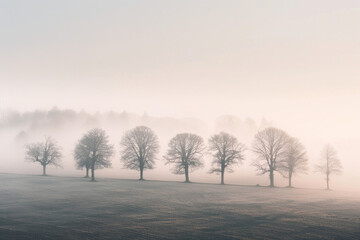 A minimalist landscape photograph capturing the layered patterns of trees receding into the distance on a foggy morning, with their soft silhouettes and muted tones.