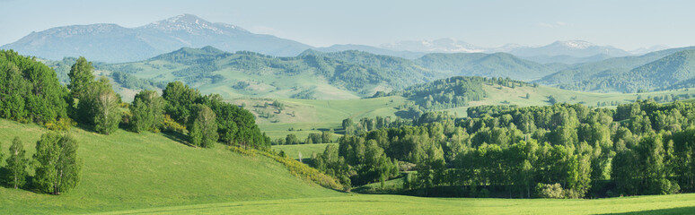 View of mountains in spring, greenery of forests and meadows, panoramic view	