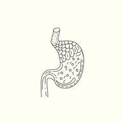 human stomach vector design symbol.