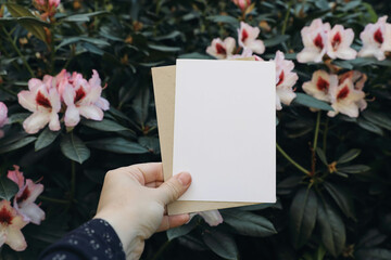 Woman's hand holding vertical blank greeting, invitation card. Pink blooming rhododendron shrubs....