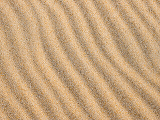 texture of the sand as background