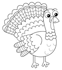 Cartoon happy farm animal cheerful turkey bird running isolated background with sketch drawing illustration for children