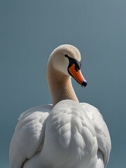 A Swan bird is sitting on a blue background. AI generated image