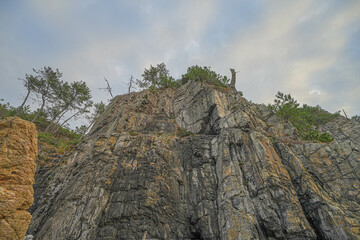 Fototapeta premium 青海島