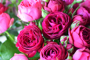 Beautiful floral background of peony red roses. Photo of a bouquet in a flower shop