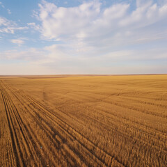 a view of an open field from a hot air balloon