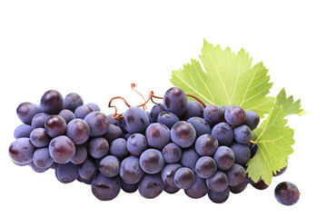 Obraz premium Bunch of grapes isolated on white