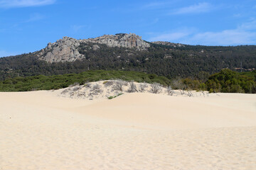 Shifting sand dune migrating inland towards the ecologically important cork and pine forests, Estrecho Nature Park, Bolonia, Spain